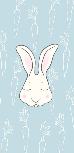 [2436x1125]兔子 绘画 简笔画 胡萝卜 苹果手机动漫壁纸图片