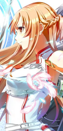 [2436x1125]刀剑神域 日本 漫画 二次元 苹果手机动漫壁纸图片