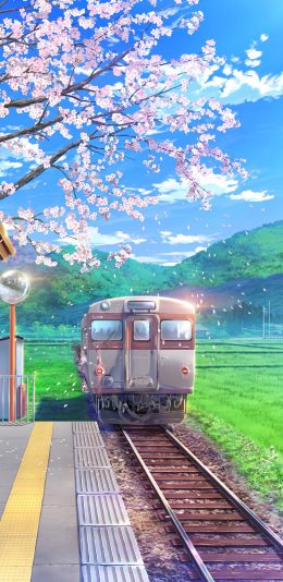 [2436x1125]列车 樱花 漫画 唯美 苹果手机动漫壁纸图片