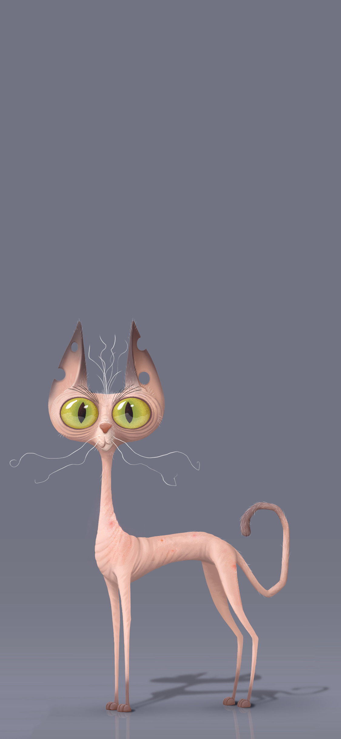 [2436×1125]加拿大 无毛猫 卡通 3D 苹果手机动漫壁纸图片