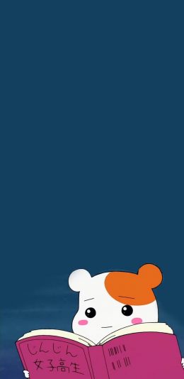 [2436x1125]动漫 夜晚 仓鼠管家 看书 女子高生 苹果手机动漫壁纸图片