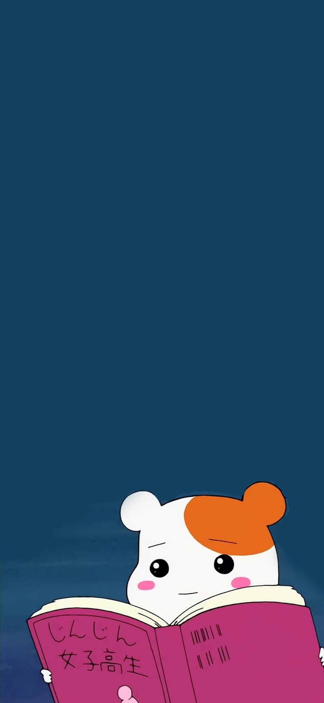 [2436×1125]动漫 夜晚 仓鼠管家 看书 女子高生 苹果手机动漫壁纸图片
