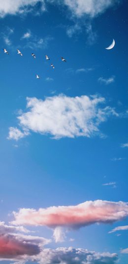 [2436x1125]动漫 插画 场景 天空 月牙 苹果手机动漫壁纸图片