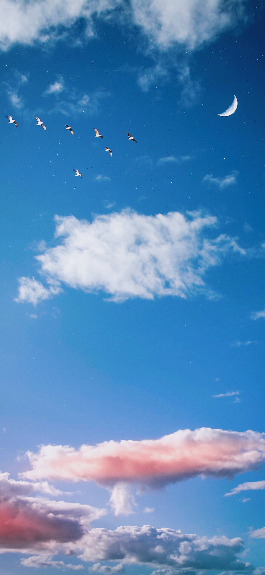 [2436×1125]动漫 插画 场景 天空 月牙 苹果手机动漫壁纸图片