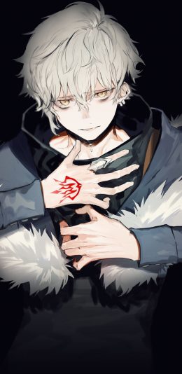 [2436x1125]动漫少年 银发 日系 苹果手机动漫壁纸图片