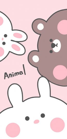 [2436x1125]动物 animal 兔子 小熊 粉色 苹果手机动漫壁纸图片