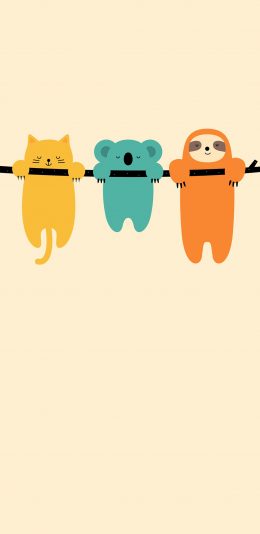 [2436x1125]动物 可爱 挂树上 树懒 考拉 猫咪 苹果手机动漫壁纸图片