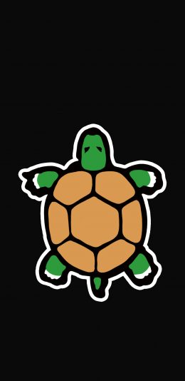 [2436x1125]卡通 乌龟 插画 可爱 苹果手机动漫壁纸图片