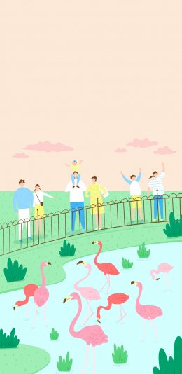 [2436x1125]卡通 动物园 火烈鸟 围观 苹果手机动漫壁纸图片