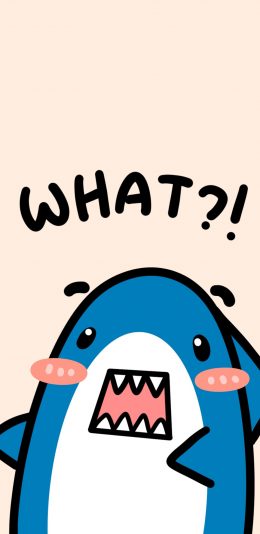 [2436x1125]卡通 可爱 what 小鲨鱼 苹果手机动漫壁纸图片