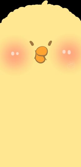 [2436x1125]卡通 小黄鸡 腮红 可爱 苹果手机动漫壁纸图片