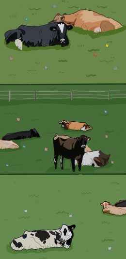 [2436x1125]卡通 插图 草地 牛群 苹果手机动漫壁纸图片