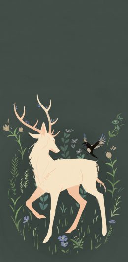 [2436x1125]卡通 插图 驯鹿 花草 飞鸟 清新 苹果手机动漫壁纸图片