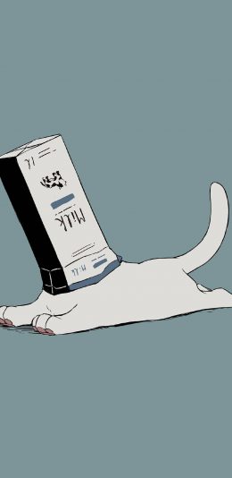 [2436x1125]卡通 猫咪 牛奶盒 套头 苹果手机动漫壁纸图片