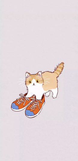 [2436x1125]卡通 猫咪 鞋子 可爱 苹果手机动漫壁纸图片