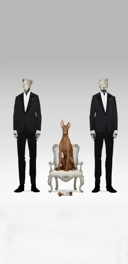 [2436x1125]卡通 阿尔法狗 西装革履 骨头 苹果手机动漫壁纸图片