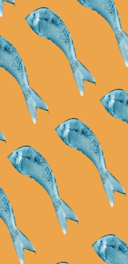[2436x1125]卡通 鱼尾 海鱼 平铺 苹果手机动漫壁纸图片