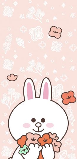 [2436x1125]可妮兔 linefriends 花 可爱 粉色 苹果手机动漫壁纸图片