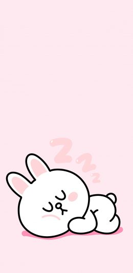 [2436x1125]可妮兔 粉色 line friends 卡通 睡觉 可爱 苹果手机动漫壁纸图片