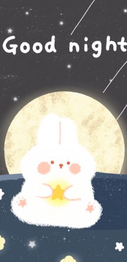 [2436x1125]可爱 兔子 晚安 good night 苹果手机动漫壁纸图片