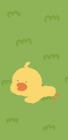 [2436x1125]可爱 小黄鸭 草地 卡通 苹果手机动漫壁纸图片