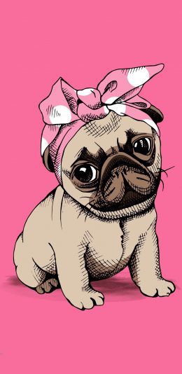 [2436x1125]可爱 巴哥 小狗 绘画 粉 苹果手机动漫壁纸图片