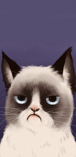 [2436x1125]可爱 猫咪 动漫 彩色 手绘 苹果手机动漫壁纸图片