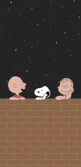 [2436x1125]史努比 查理布朗 星空 动画 苹果手机动漫壁纸图片