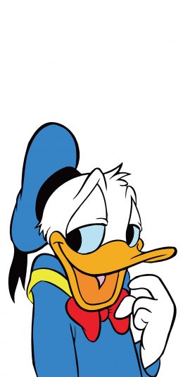 [2436x1125]唐老鸭 卡通 迪士尼 动画 苹果手机动漫壁纸图片