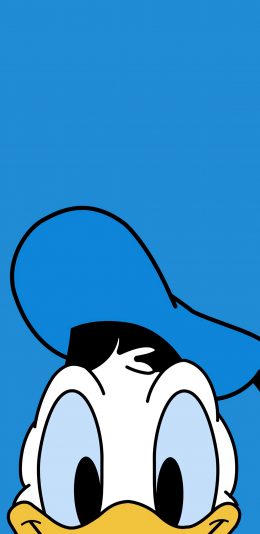 [2436x1125]唐老鸭 迪士尼 蓝 卡通 苹果手机动漫壁纸图片