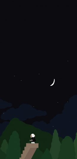 [2436x1125]夜晚 月亮 星空 狗 树木 苹果手机动漫壁纸图片