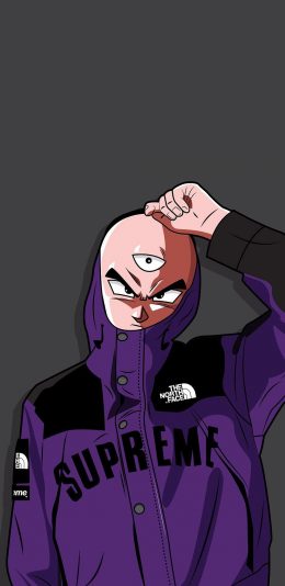 [2436x1125]天津饭 七龙珠 漫画 日本 潮服 苹果手机动漫壁纸图片