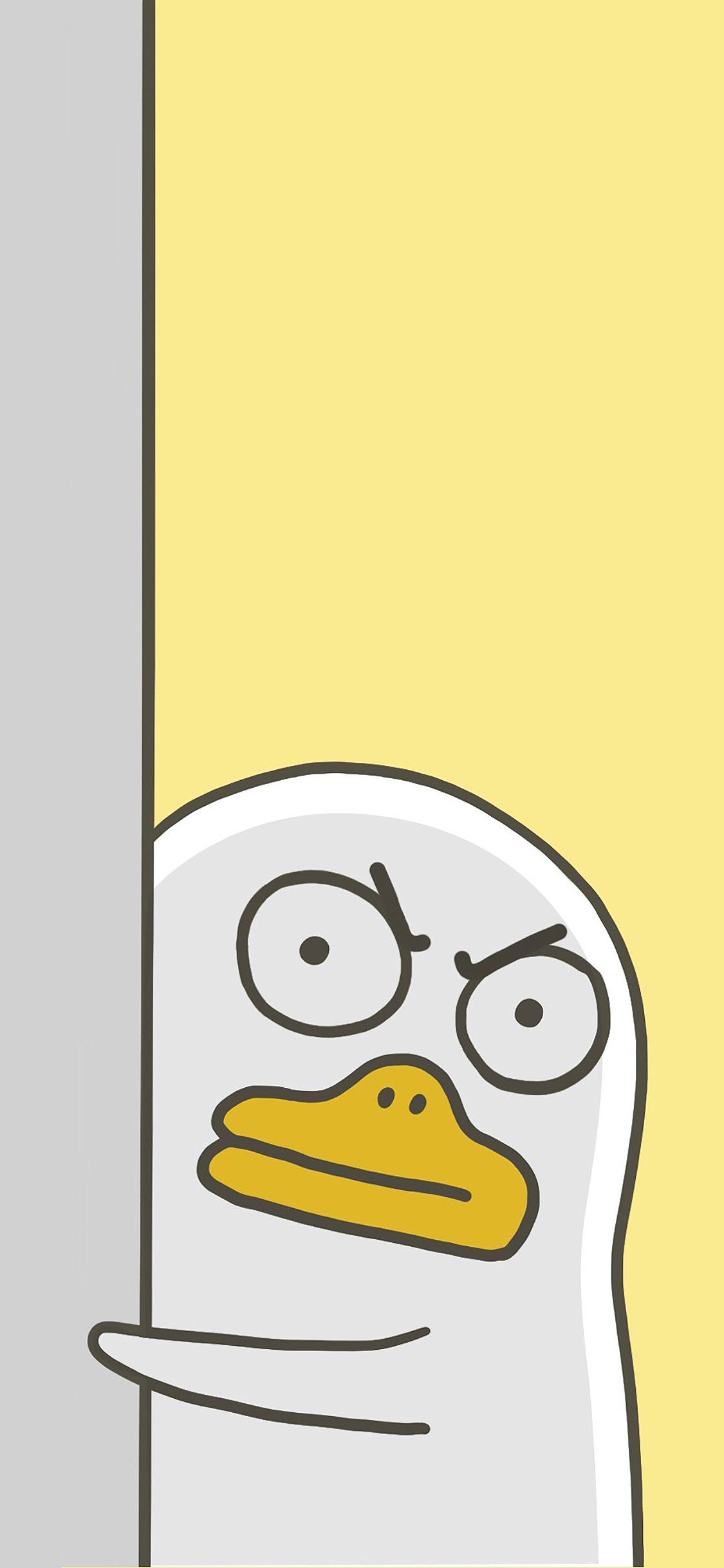 [2436×1125]小刘鸭 卡通 墙 暗中观察 皱眉 苹果手机动漫壁纸图片