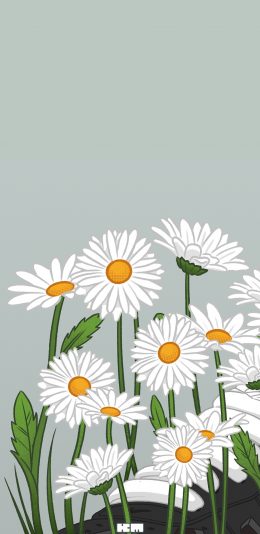 [2436x1125]小雏菊 Kody Mason Nike 鞋子（取自微博：G195） 苹果手机动漫壁纸图片