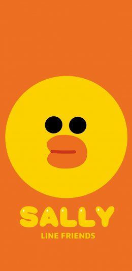 [2436x1125]小黄鸭 Sally line friends 苹果手机动漫壁纸图片