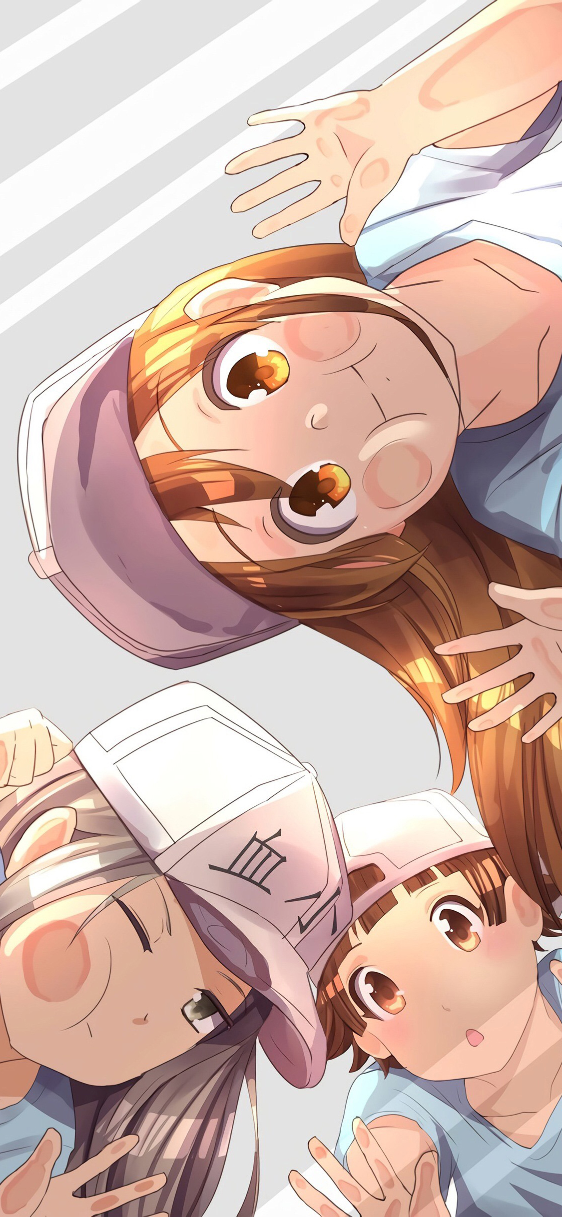 [2436×1125]工作细胞 漫画 血小板 玻璃 苹果手机动漫壁纸图片