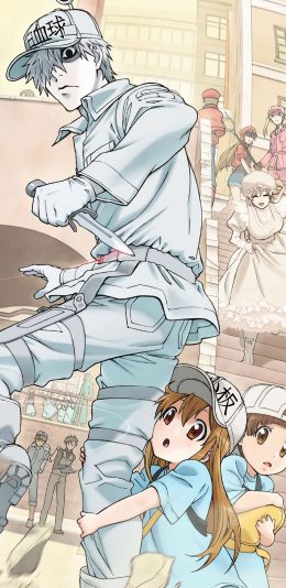 [2436x1125]工作细胞 漫画 血小板 白细胞 抱大腿 苹果手机动漫壁纸图片