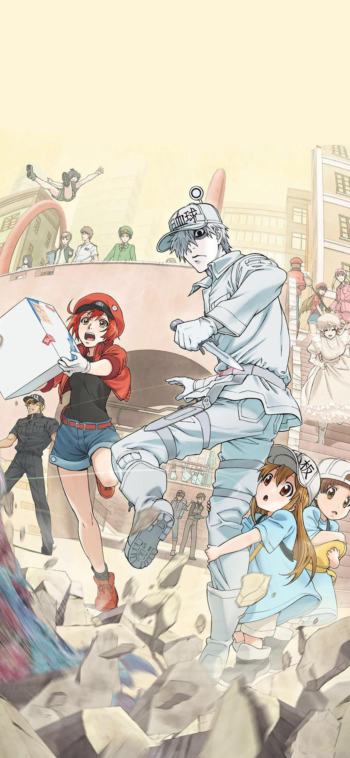 [2436×1125]工作细胞 漫画 血小板 白细胞 红细胞  抱大腿 苹果手机动漫壁纸图片