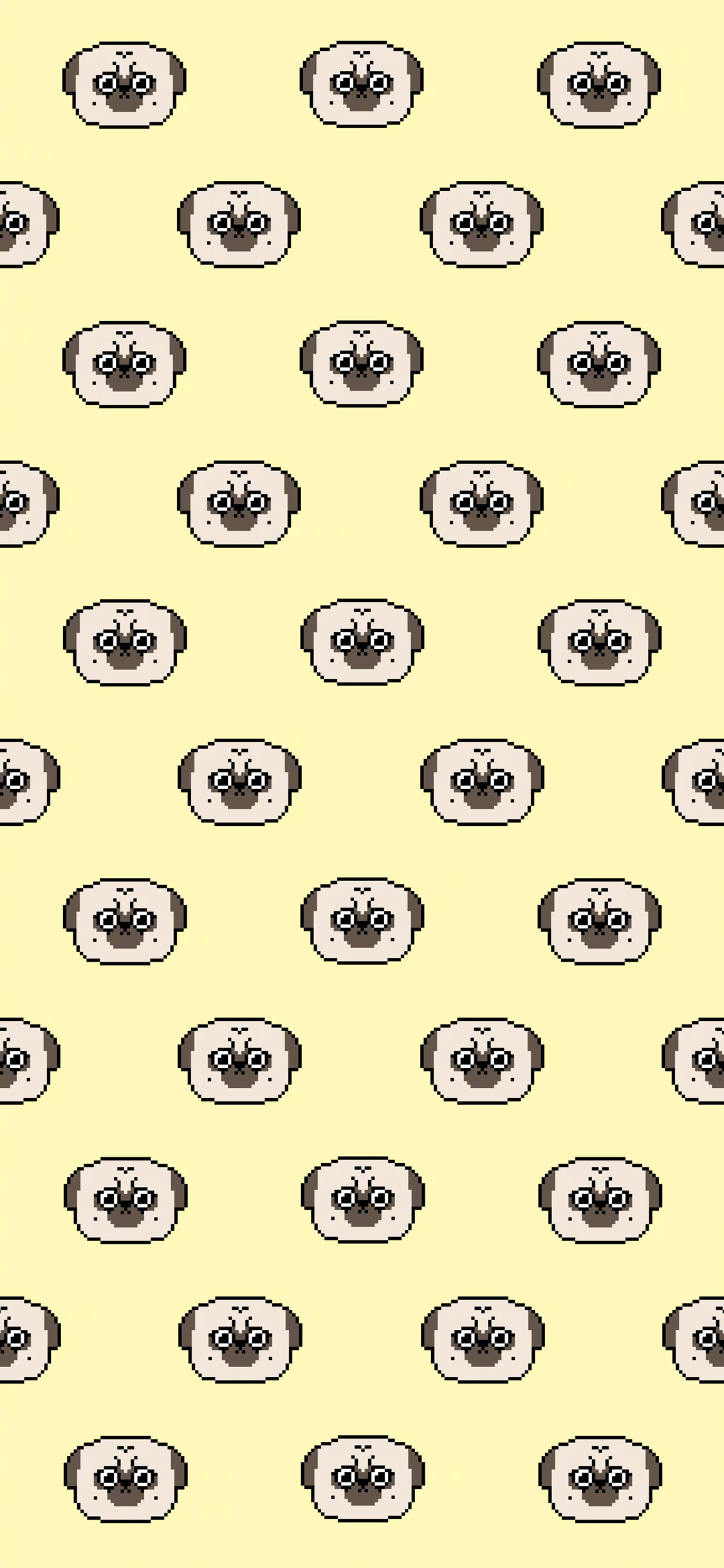 [2436×1125]巴扎黑 吾皇万岁 狗 黄色 平铺 苹果手机动漫壁纸图片