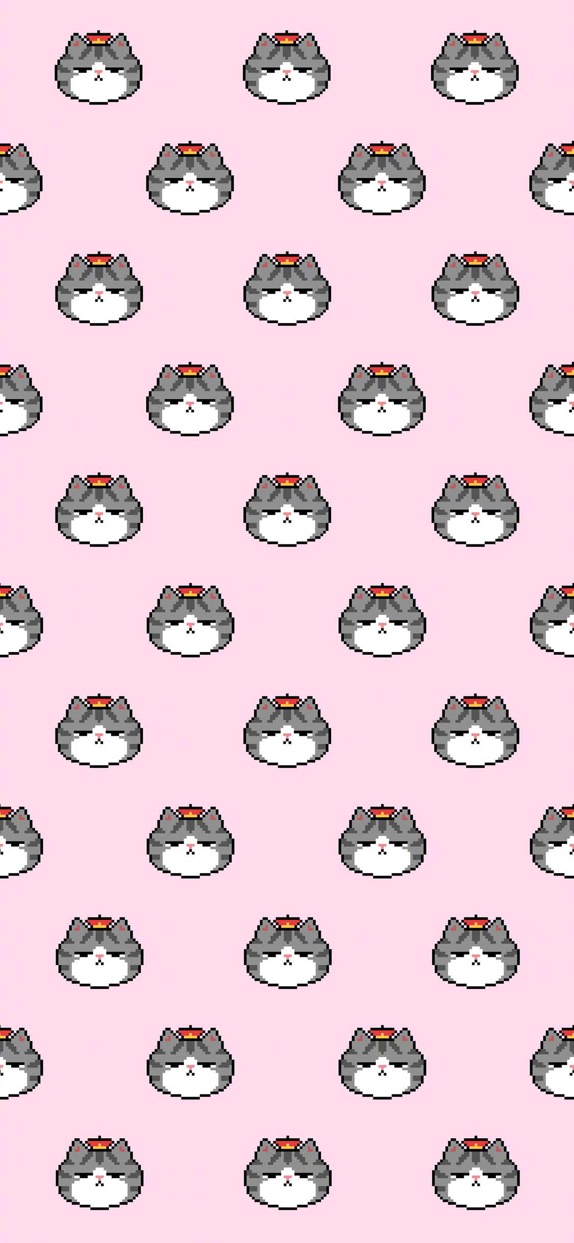 [2436×1125]巴扎黑 吾皇万岁 猫 粉色 平铺 苹果手机动漫壁纸图片