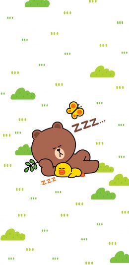 [2436x1125]布朗熊 萨莉鸡 睡觉 linefriends 可爱 苹果手机动漫壁纸图片