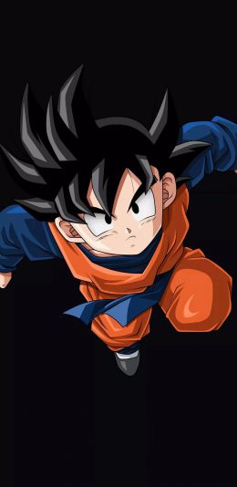 [2436x1125]悟空 七龙珠 日漫 动画 苹果手机动漫壁纸图片