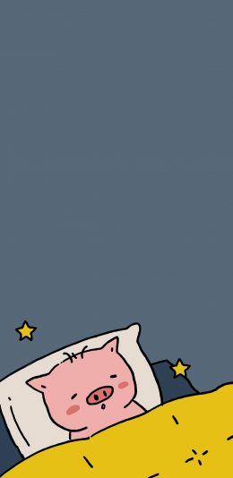 [2436x1125]情侣壁纸 可爱 睡眠 星星  猪 苹果手机动漫壁纸图片
