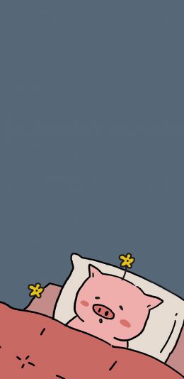 [2436x1125]情侣壁纸可爱 睡眠 小花 猪 苹果手机动漫壁纸图片