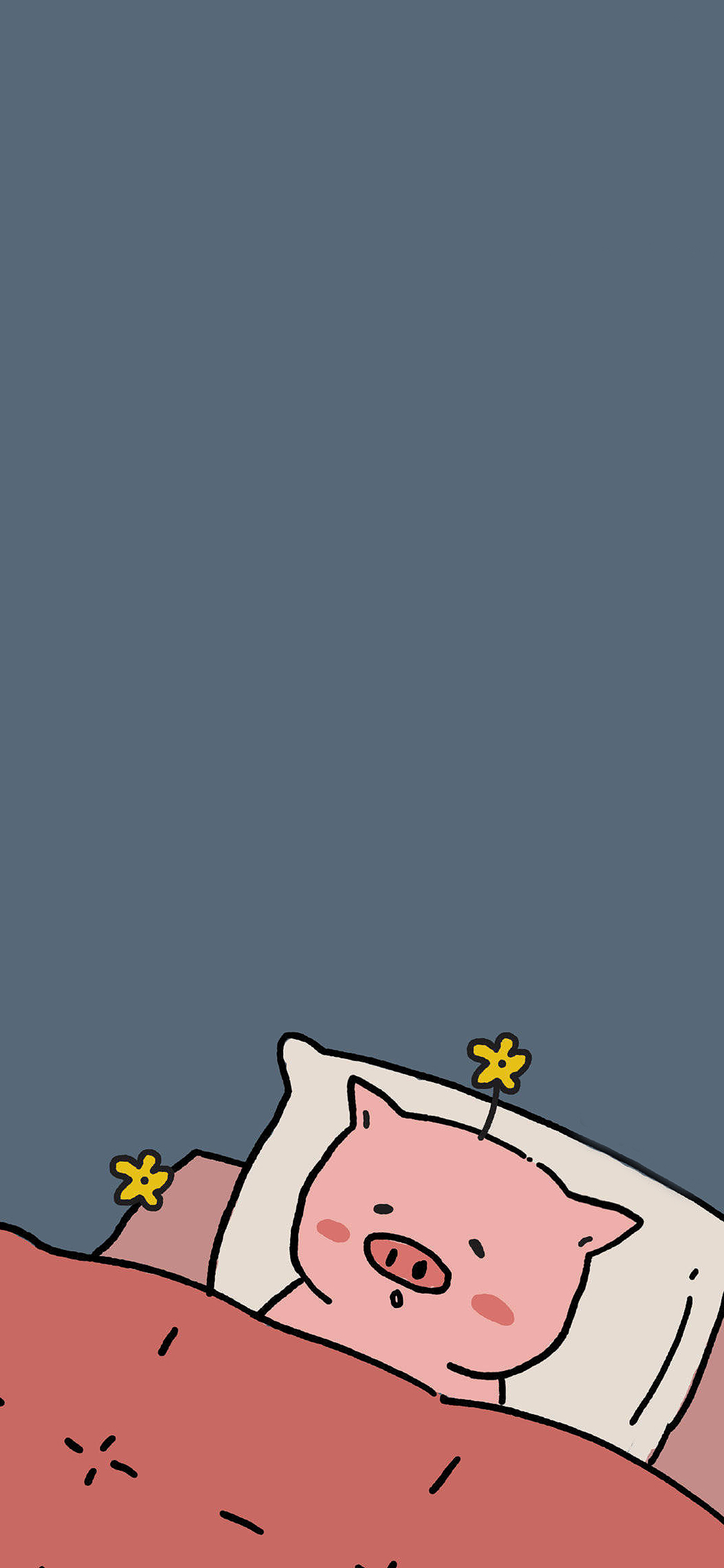 [2436×1125]情侣壁纸可爱 睡眠 小花 猪 苹果手机动漫壁纸图片