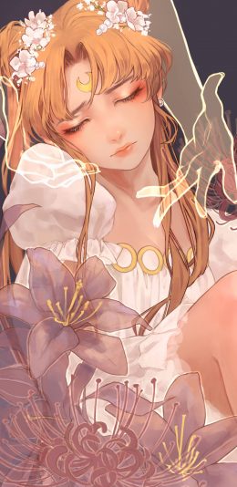 [2436x1125]插图 二次元 美少女战士 水冰月 苹果手机动漫壁纸图片