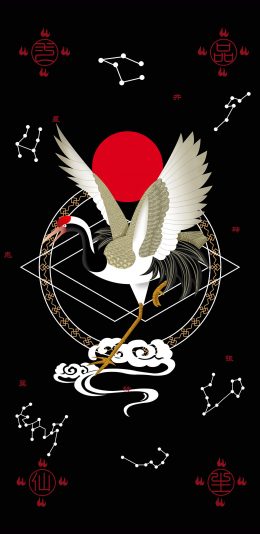 [2436x1125]插图 仙鹤 符文 星移 国潮品牌 东来也 苹果手机动漫壁纸图片