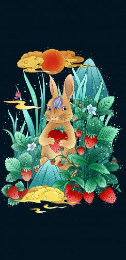 [2436x1125]插图 兔子 花草 华丽（取自站酷网：辰子ChenRui） 苹果手机动漫壁纸图片