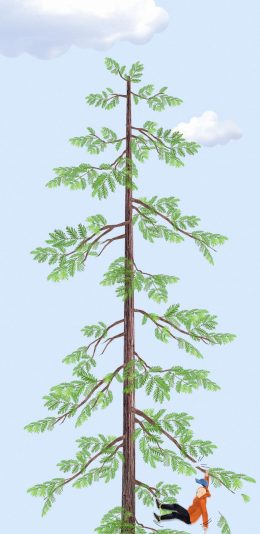 [2436x1125]插图 动画 一拳超人 树木 苹果手机动漫壁纸图片