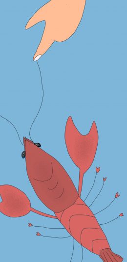 [2436x1125]插图 卡通 小龙虾 钳子 苹果手机动漫壁纸图片